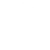 team-leader