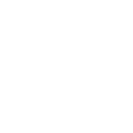 team-leader